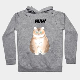 Huh Cat Hoodie